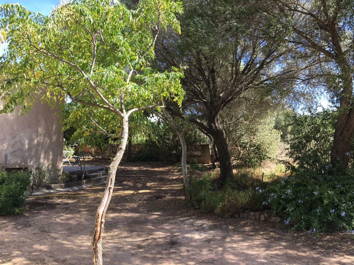 Gîte à Poggiale de Figari Figari  Esterno foto